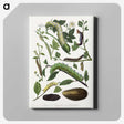 1-26_Le-Jardin-des-Plantes_canvas