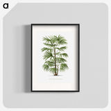1-26_Les-Palmiers-Histoire-Iconographique_blk