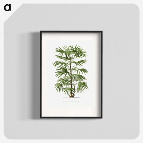 1-26_Les-Palmiers-Histoire-Iconographique_blk