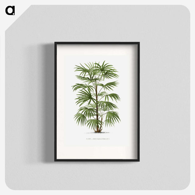 1-26_Les-Palmiers-Histoire-Iconographique_blk