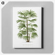 1-26_Les-Palmiers-Histoire-Iconographique_canvas