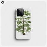1-26_Les-Palmiers-Histoire-Iconographique_phone