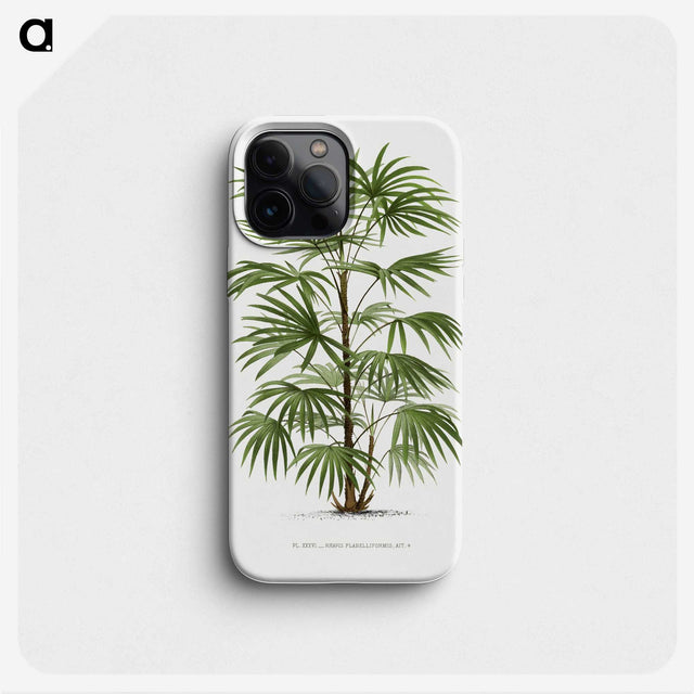 1-26_Les-Palmiers-Histoire-Iconographique_phone