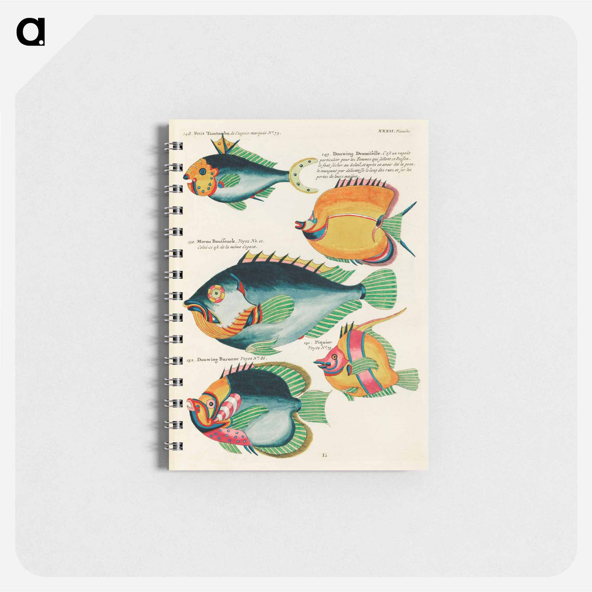 Moluccan Fishes
 - ルイ ルナール Memo.