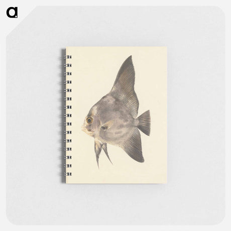 アートメモ帳-Unidentified Fish
 - ルイージ バルガーニ Memo.