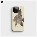Unidentified Fish
 - ルイージ バルガーニ Phone Case.