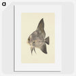 1-26_Luigi-Balugani_picture