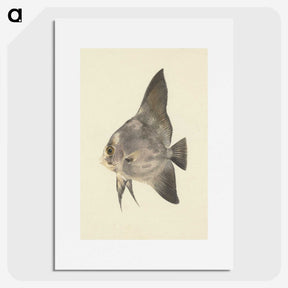 1-26_Luigi-Balugani_picture