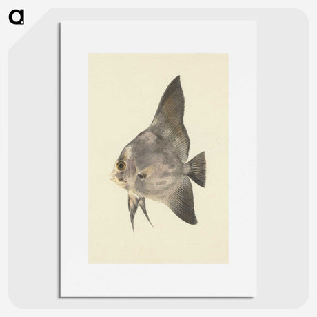 1-26_Luigi-Balugani_picture