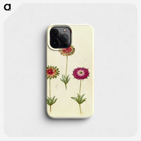 1-26_Maria-Sibylla-Merian_phone