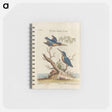 アートメモ帳-Birds Illustration
 - マーク ケイツビー Memo.