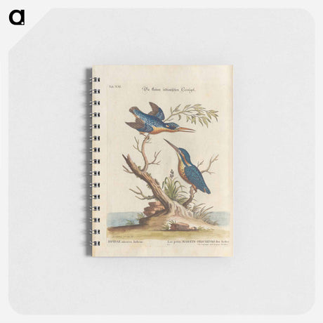 アートメモ帳-Birds Illustration
 - マーク ケイツビー Memo.