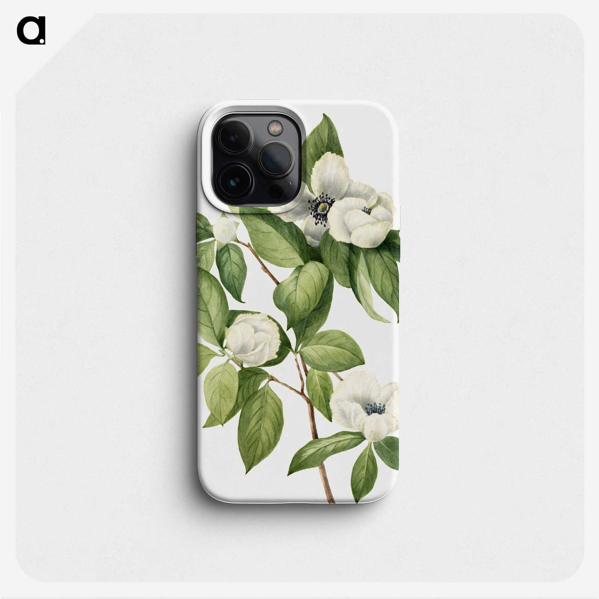 1-26_Mary-Vaux-Walcott_phone