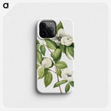1-26_Mary-Vaux-Walcott_phone