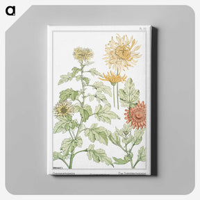 1-26_Maurice-Pillard-Verneuil_canvas