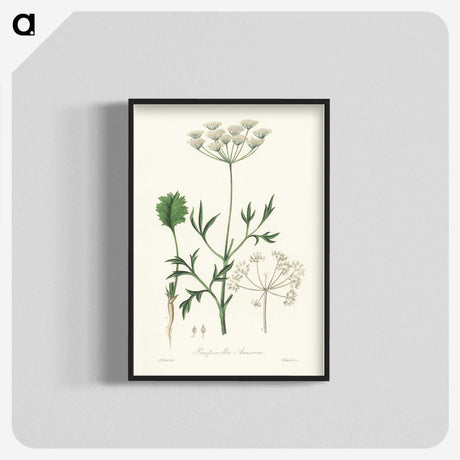 1-26_Medical-Botany_blk-crop