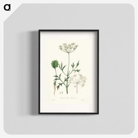 1-26_Medical-Botany_blk