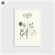 1-26_Medical-Botany_hagaki