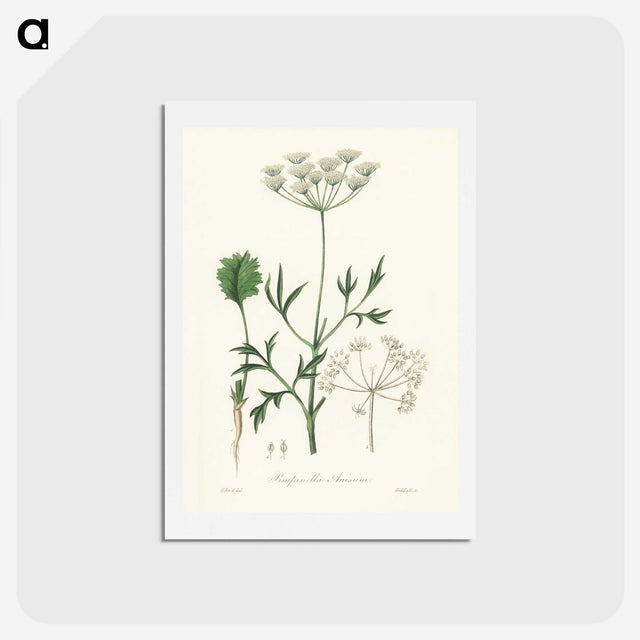 1-26_Medical-Botany_hagaki