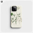1-26_Medical-Botany_phone