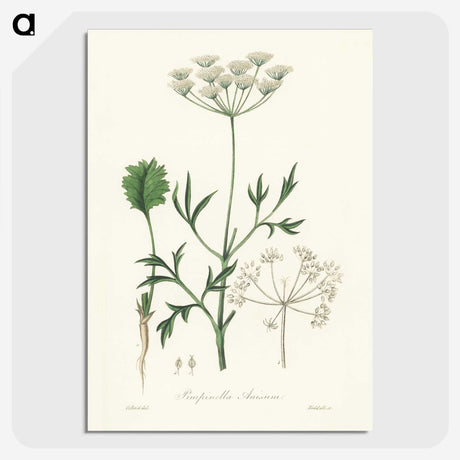 1-26_Medical-Botany_picture-crop