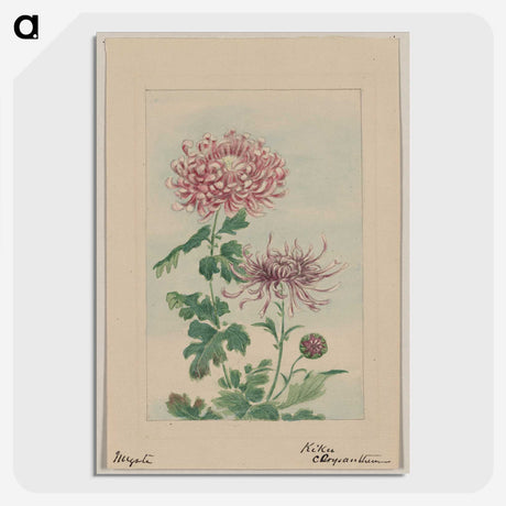 1-26_Megata-Morikaga_picture-crop
