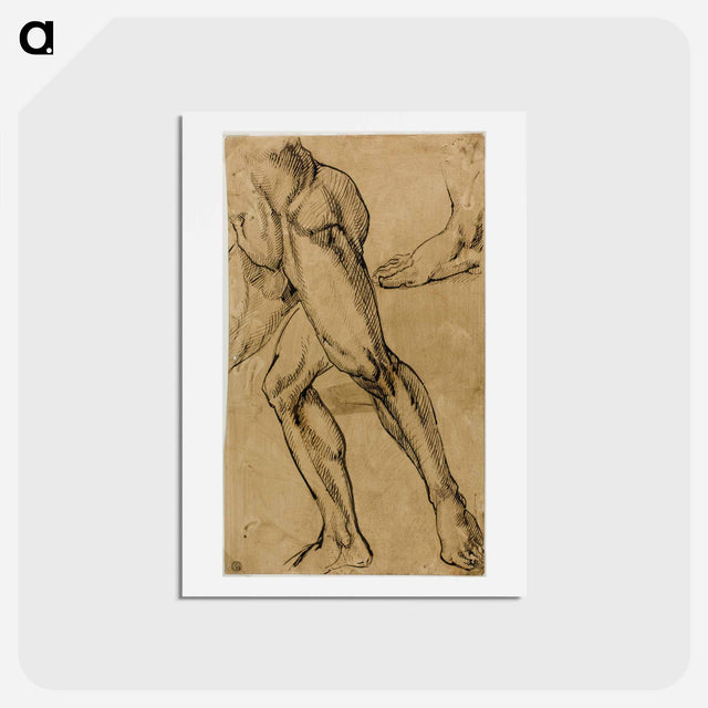 アートポストカード-Legs and Feet of Male Nude - ミケランジェロ ブオナローティ Postcard.