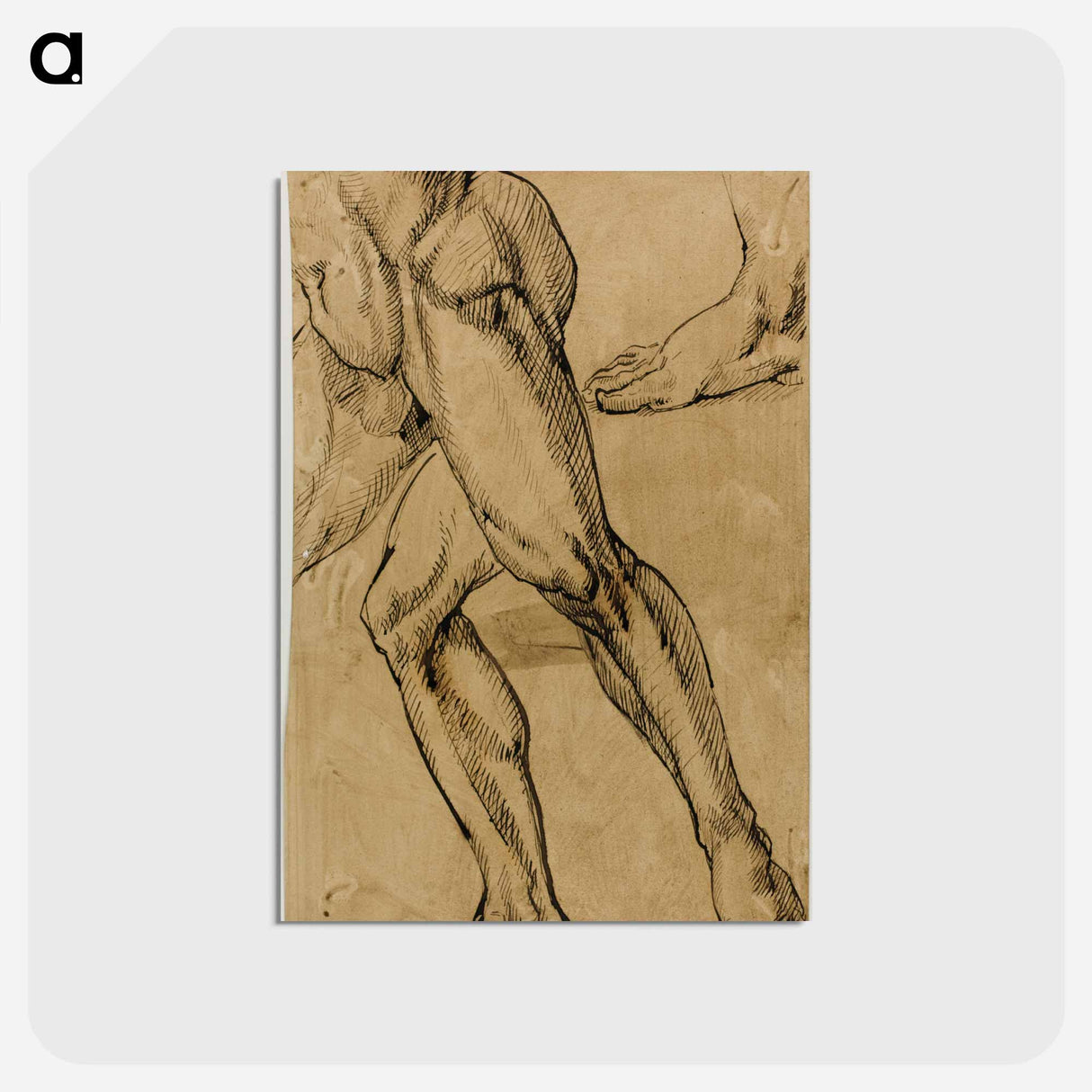 アートポストカード-Legs and Feet of Male Nude - ミケランジェロ ブオナローティ Postcard.