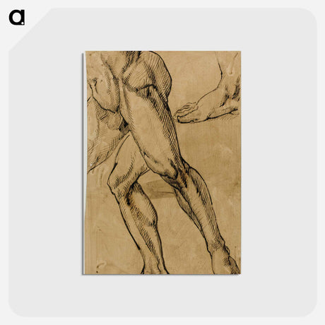 アートポストカード-Legs and Feet of Male Nude - ミケランジェロ ブオナローティ Postcard.
