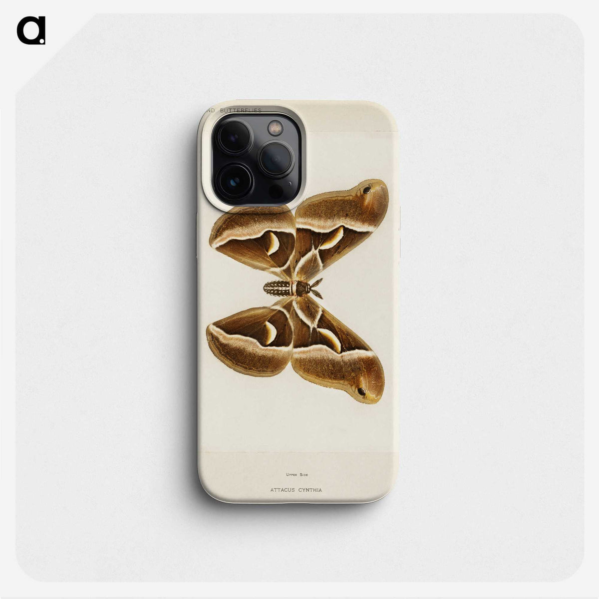 1-26_Moths-and-Butterflies-of-the-United-States_phone