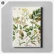 1-26_Native-Flowering-Plants-of-New-Zealand_canvas