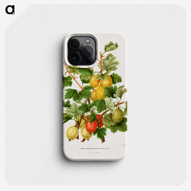 1-26_Nederlandsche-Flora-en-Pomona_phone