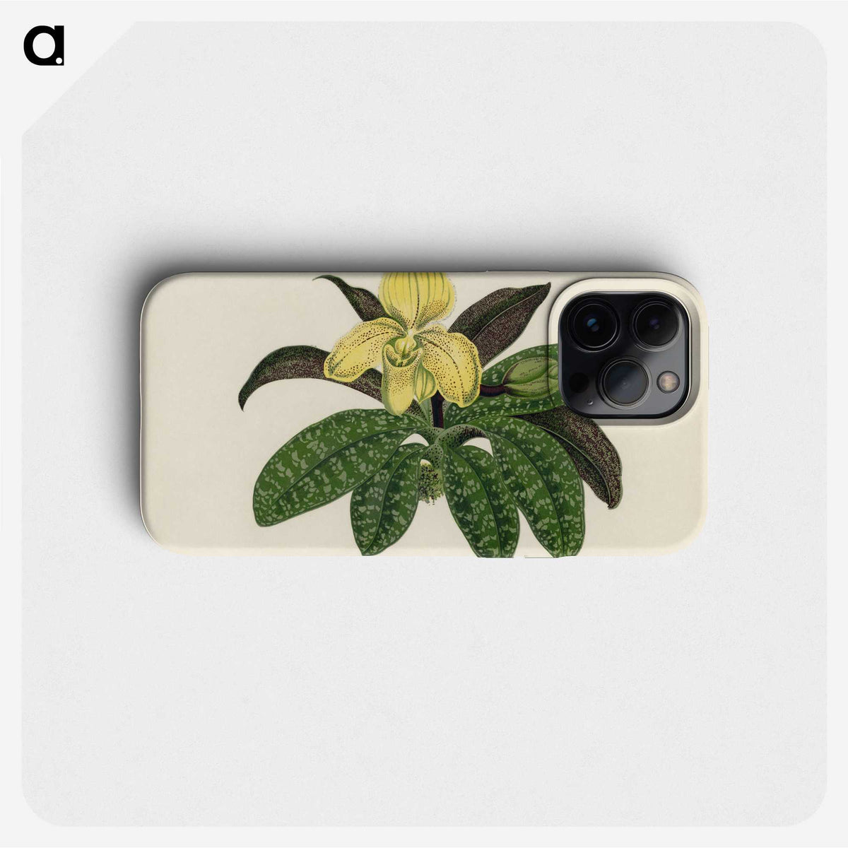 1-26_New-and-Rare-Beautiful-Leaved-Plants_phone