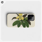 1-26_New-and-Rare-Beautiful-Leaved-Plants_phone