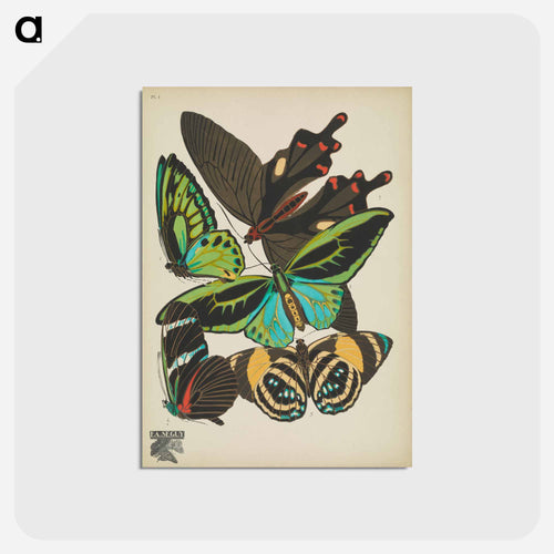 Vintage Butterflies
 - パピヨン Postcard.