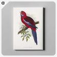 1-26_Parrots-in-Captivity_canvas