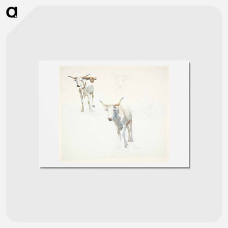 アートポストカード-Popeye
 - ピーター ハンセン Postcard.