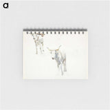 1-26_Peter-Hansen_memo