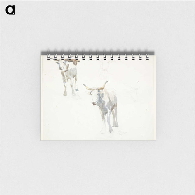 1-26_Peter-Hansen_memo