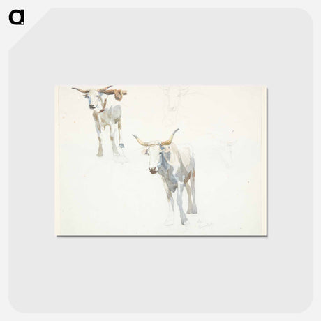 アートポストカード-Popeye
 - ピーター ハンセン Postcard.