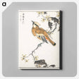 アートパネル-Eastern Waxwing
 - 鳥類図鑑 Canvas.