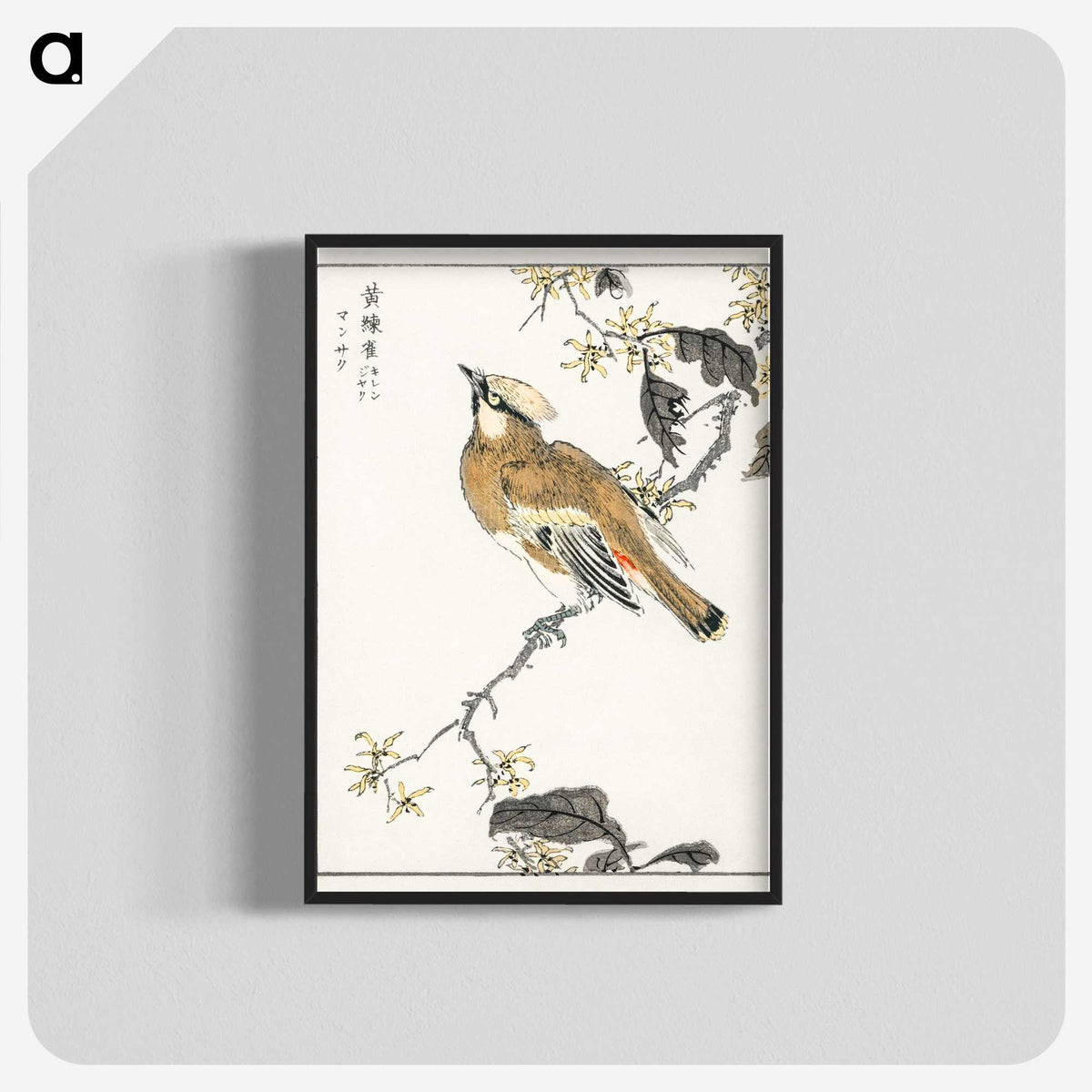 1-26_Pictorial-Monograph-of-Birds_blk-crop