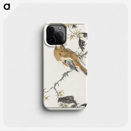 1-26_Pictorial-Monograph-of-Birds_phone