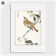 1-26_Pictorial-Monograph-of-Birds_picture
