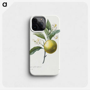 1-26_Pierre-Joseph-Redoute_phone