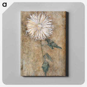 アートパネル-Chrysanthemum - ピエト モンドリアン Canvas.