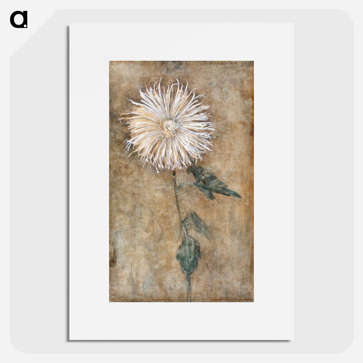 Chrysanthemum - Piet Mondrian Poster.