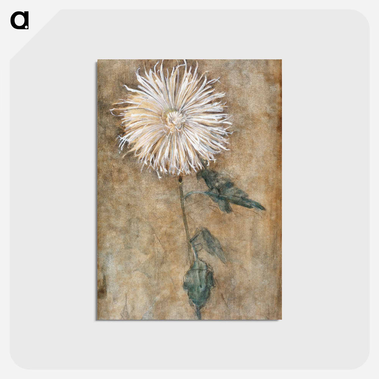 Chrysanthemum - ピエト モンドリアン Postcard.