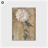 Chrysanthemum - ピエト モンドリアン Postcard.