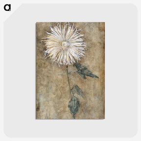 1-26_Piet-Mondrian_postcard
